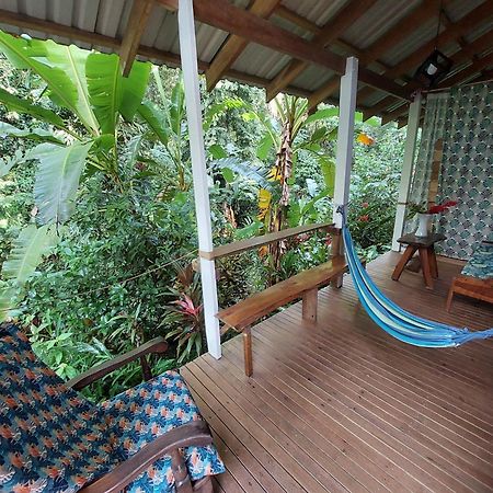Casa Lina Sloth View Exotic Apartment With Privat Kitchen Puerto Viejo de Talamanca 外观 照片