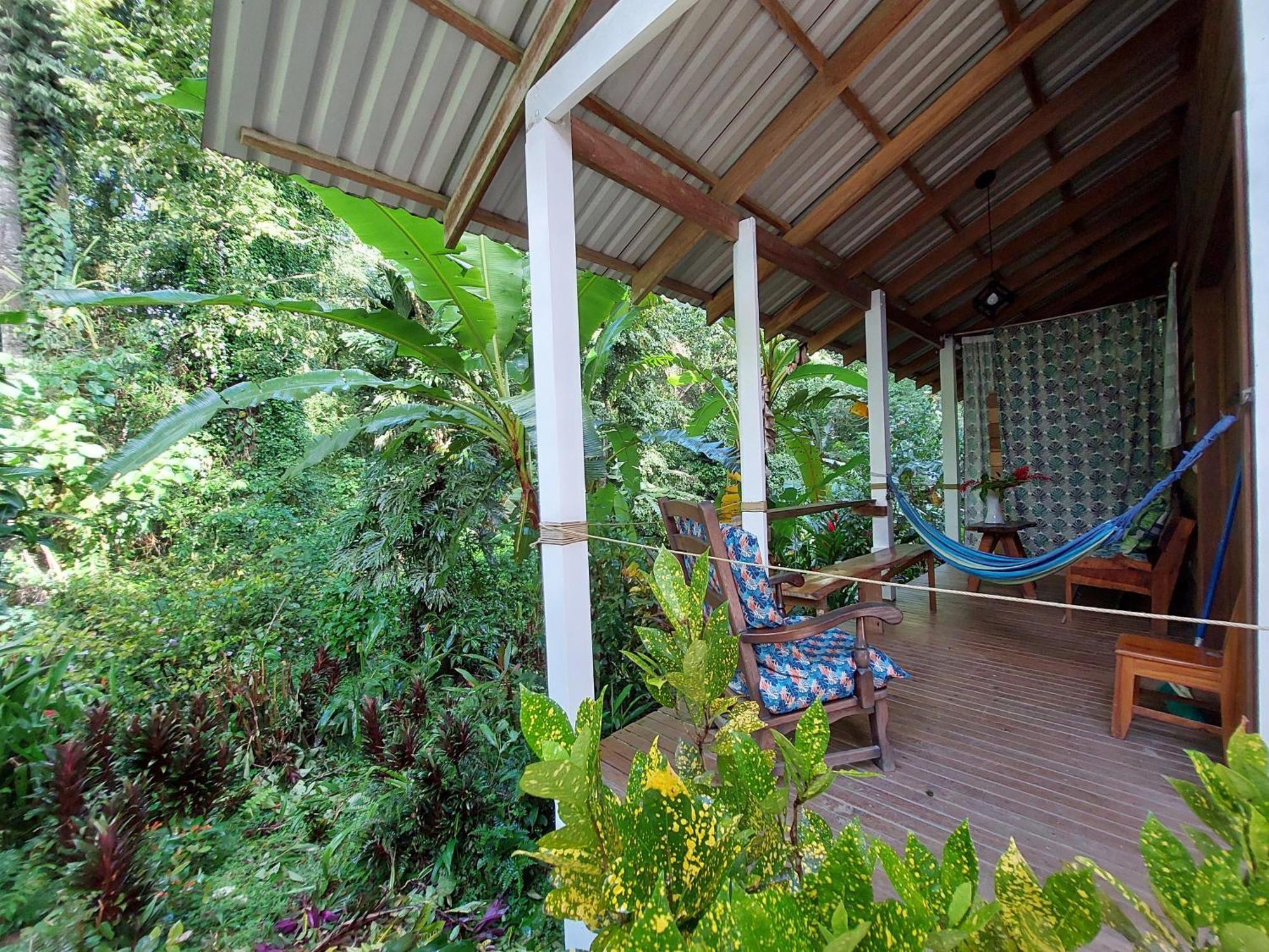 Casa Lina Sloth View Exotic Apartment With Privat Kitchen Puerto Viejo de Talamanca 外观 照片
