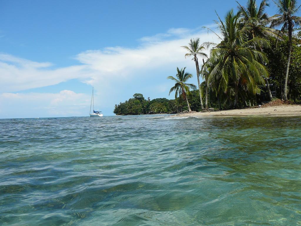 Casa Lina Sloth View Exotic Apartment With Privat Kitchen Puerto Viejo de Talamanca 客房 照片