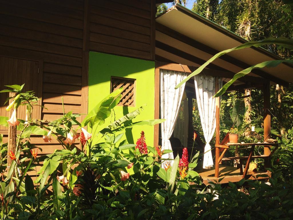Casa Lina Sloth View Exotic Apartment With Privat Kitchen Puerto Viejo de Talamanca 外观 照片