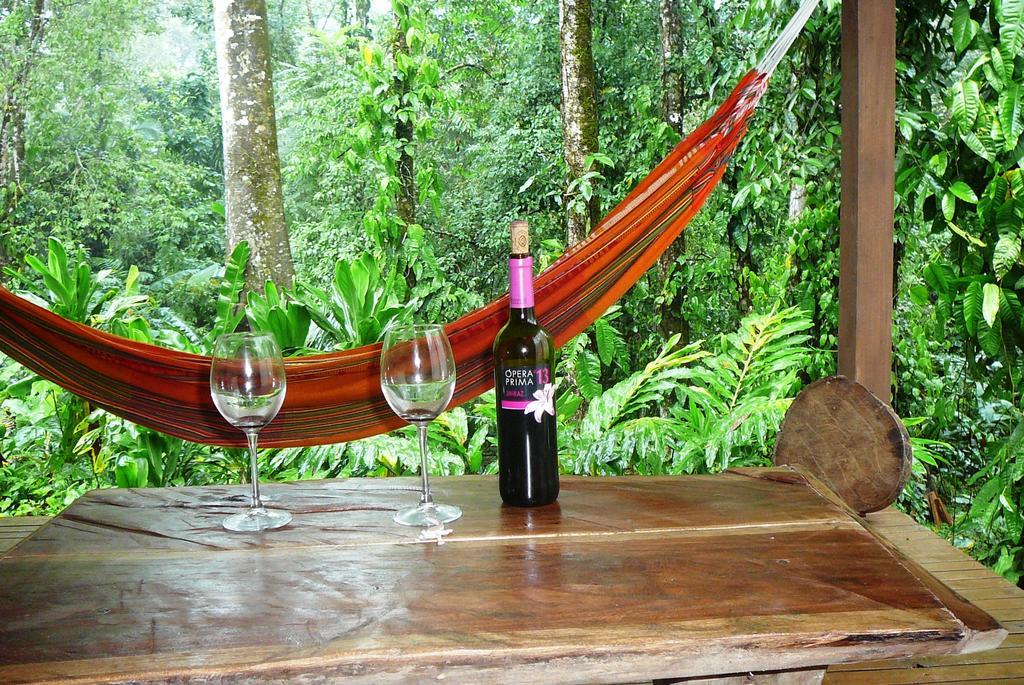 Casa Lina Sloth View Exotic Apartment With Privat Kitchen Puerto Viejo de Talamanca 客房 照片