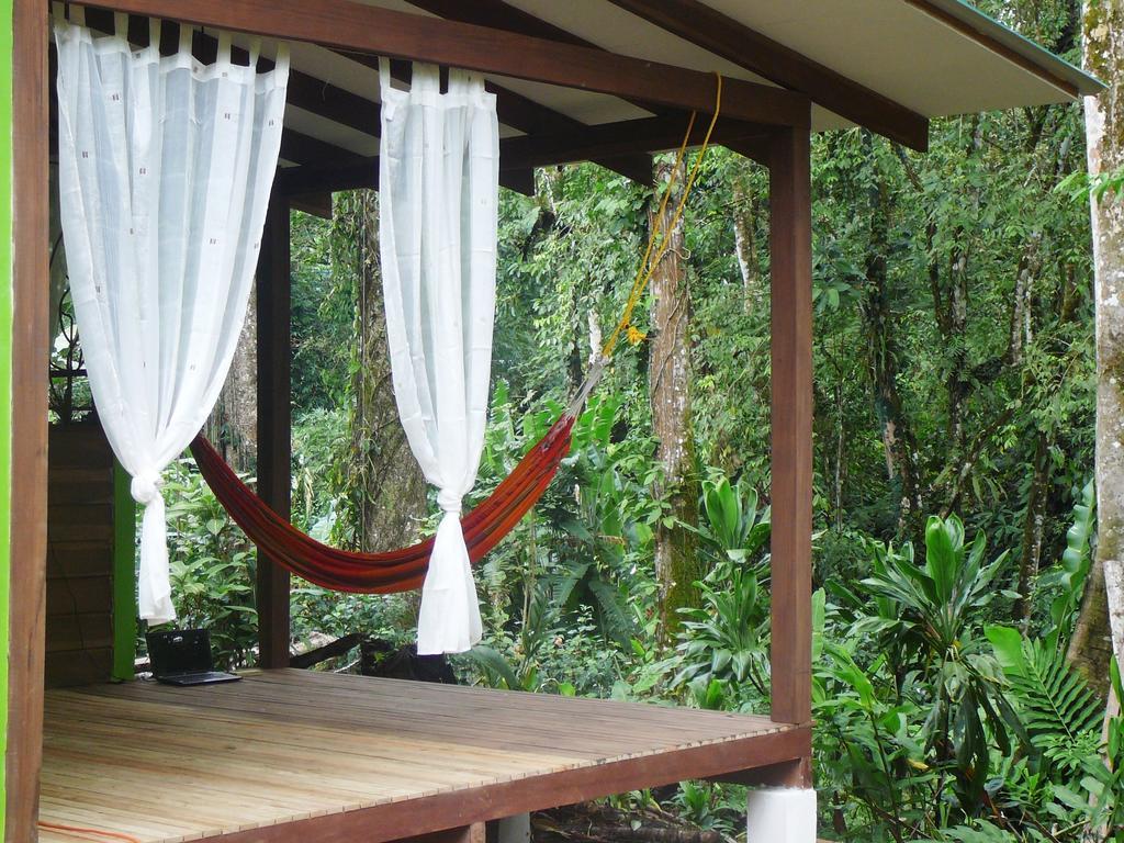 Casa Lina Sloth View Exotic Apartment With Privat Kitchen Puerto Viejo de Talamanca 客房 照片