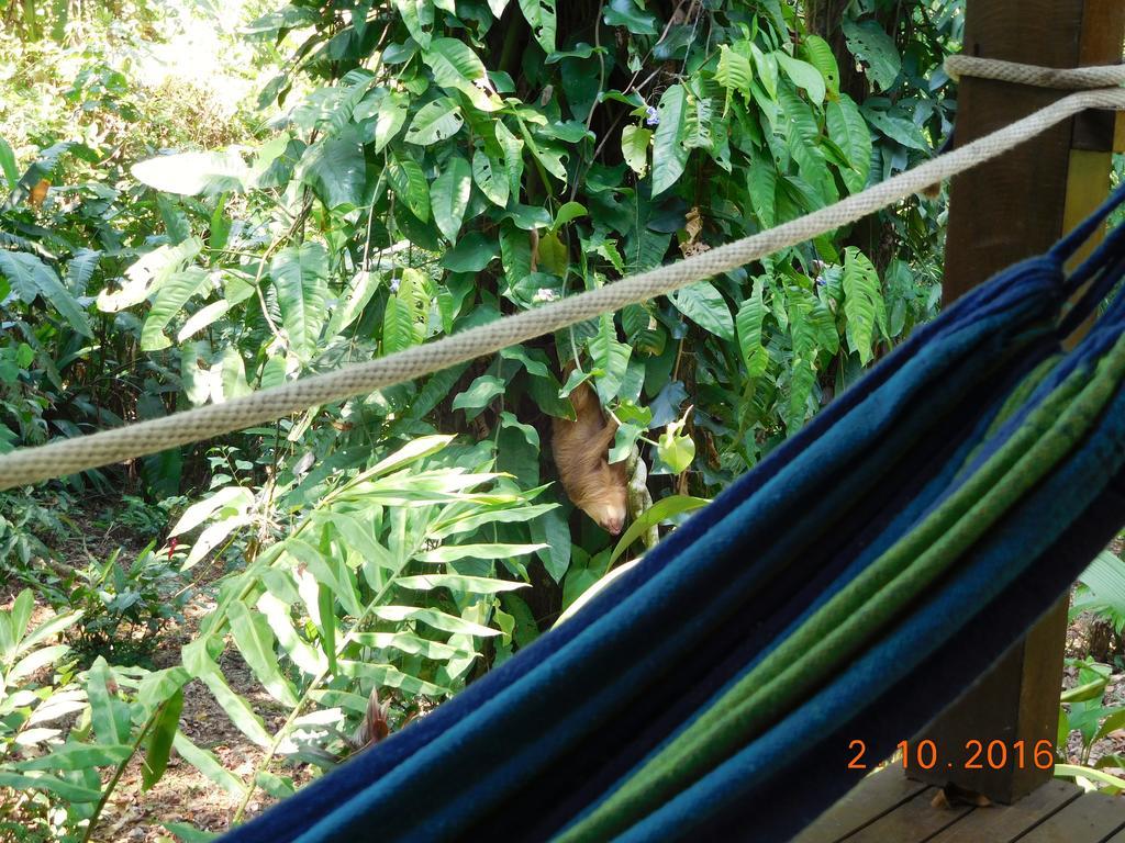 Casa Lina Sloth View Exotic Apartment With Privat Kitchen Puerto Viejo de Talamanca 外观 照片