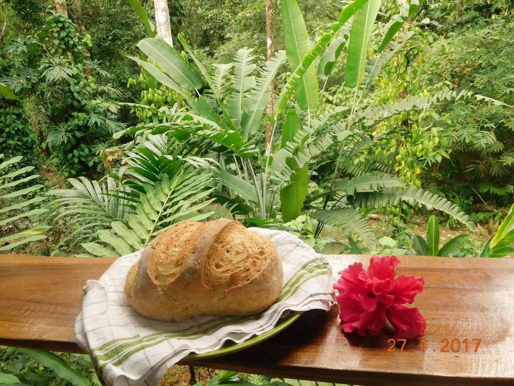 Casa Lina Sloth View Exotic Apartment With Privat Kitchen Puerto Viejo de Talamanca 外观 照片