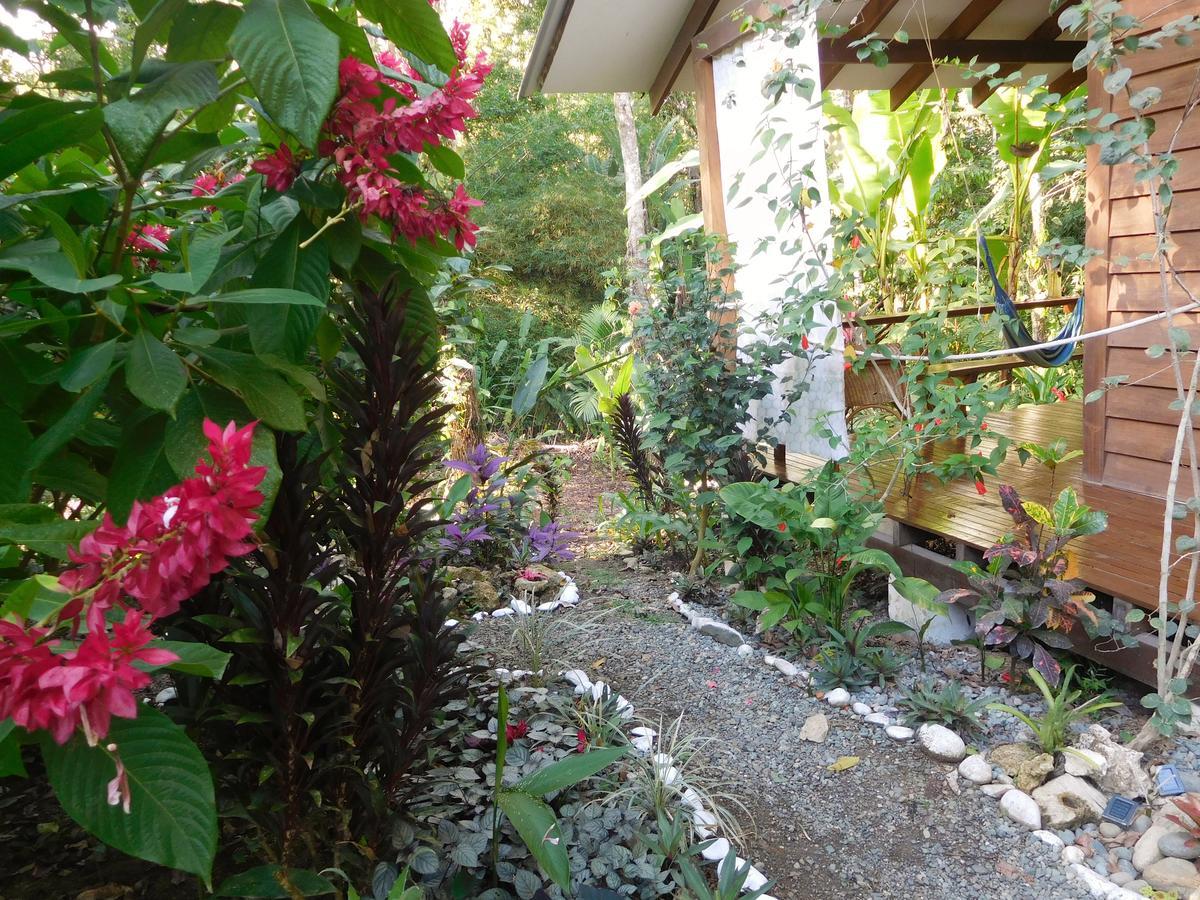Casa Lina Sloth View Exotic Apartment With Privat Kitchen Puerto Viejo de Talamanca 外观 照片