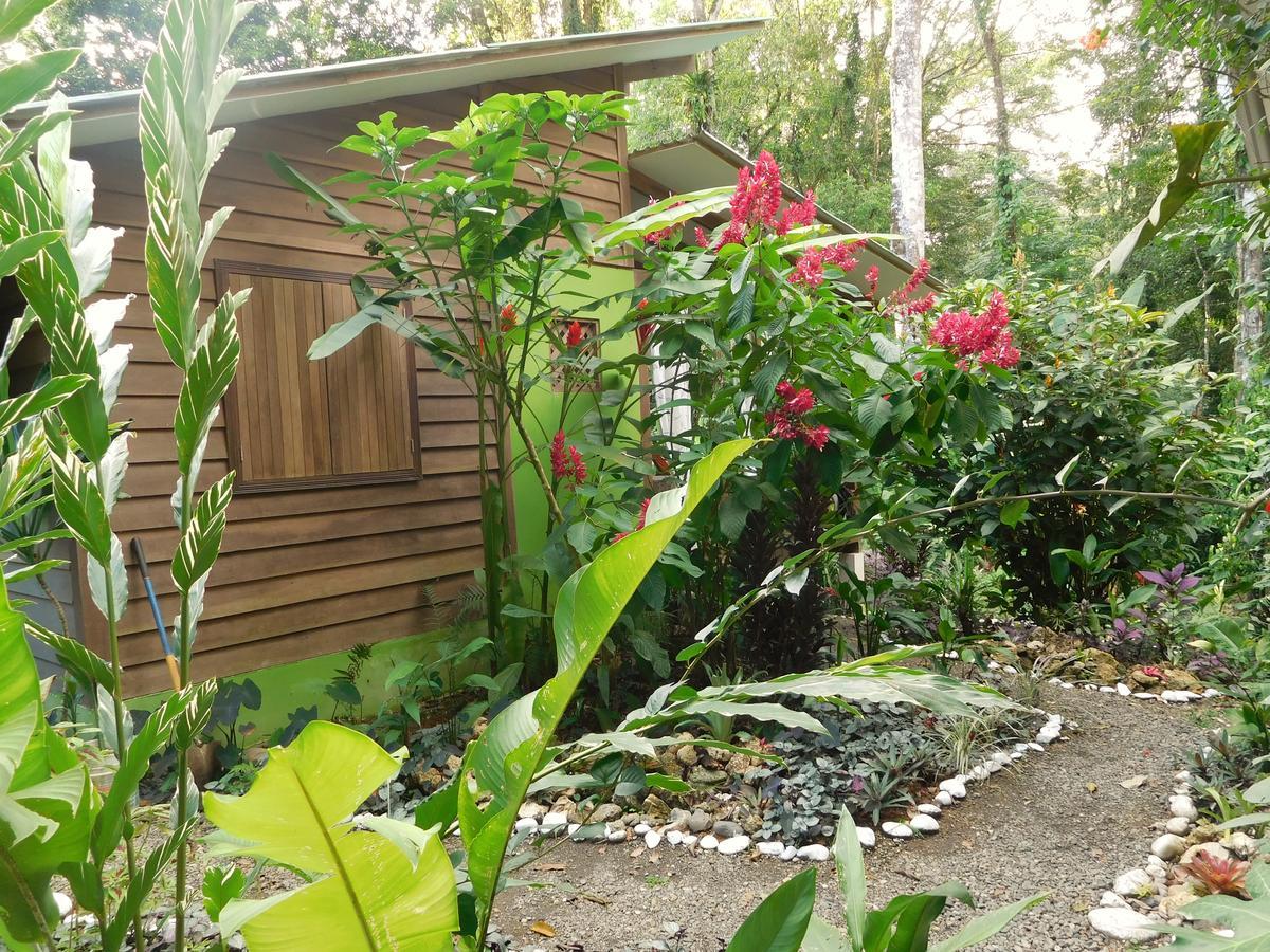 Casa Lina Sloth View Exotic Apartment With Privat Kitchen Puerto Viejo de Talamanca 外观 照片
