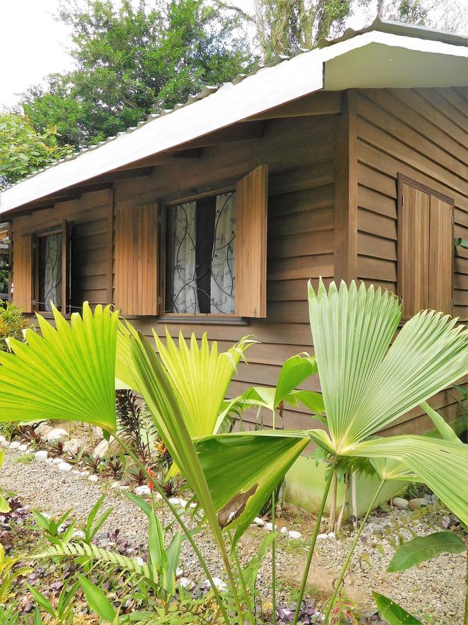 Casa Lina Sloth View Exotic Apartment With Privat Kitchen Puerto Viejo de Talamanca 外观 照片